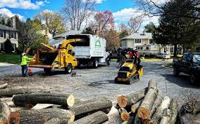 Best Hazardous Tree Removal  in Pisgah, AL