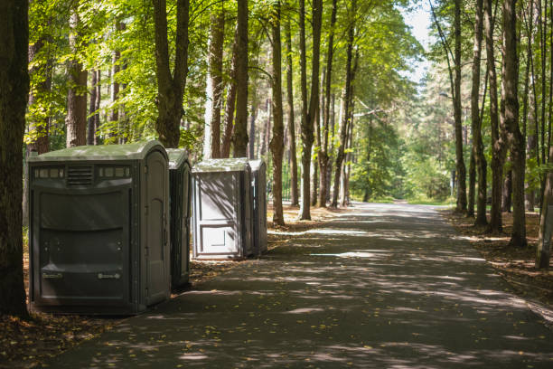 How Our Tree Care Process Works  in  Pisgah, AL