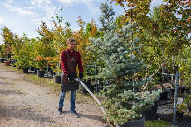 Best Arborist Consultation Services  in Pisgah, AL